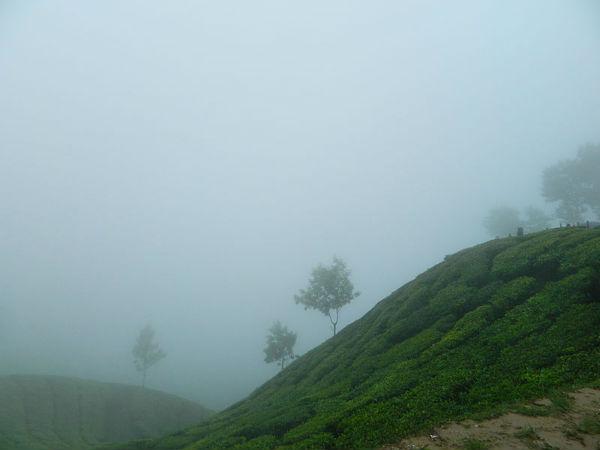 మున్నార్ పర్యటనా రహస్యం 