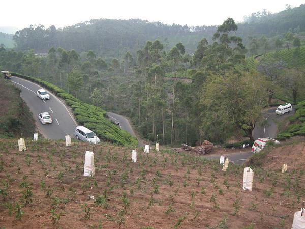 మున్నార్ పర్యటనా రహస్యం 