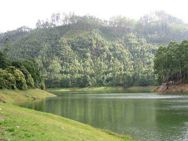 మున్నార్ పర్యటనా రహస్యం 