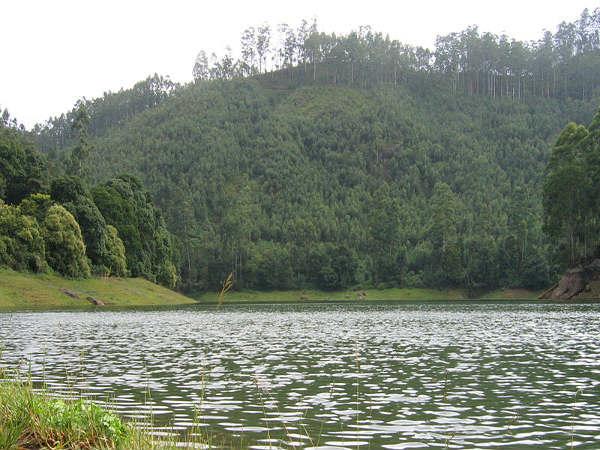 మున్నార్ పర్యటనా రహస్యం 