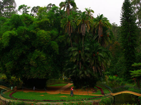 కోరినన్ని ఆకర్షణల కూనూర్ !