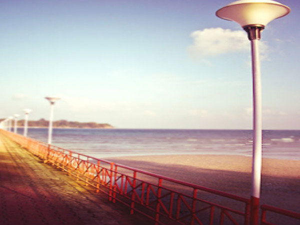 వావ్...ఫిష్ అంటే పడి చస్తా ....?