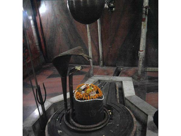 శివుడు ఒక్కడే ...లింగాలు వివిధ రూపాలు !