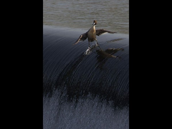 అందమైన చిత్రం 