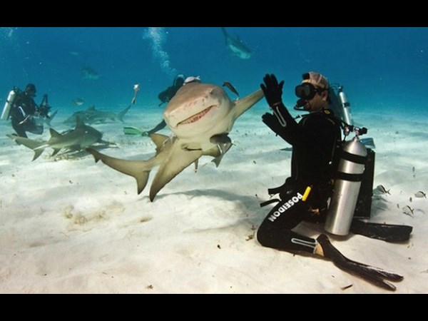 అందమైన చిత్రం 