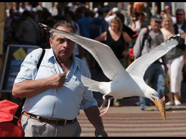 అందమైన చిత్రం 