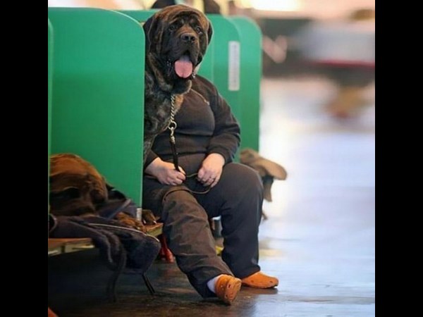 అందమైన చిత్రం 