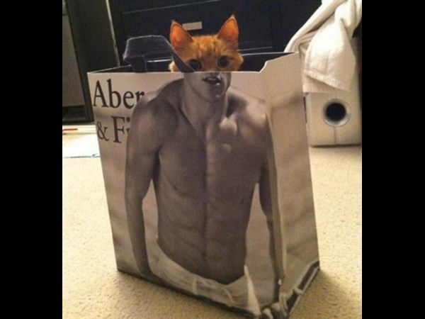 అందమైన చిత్రం 