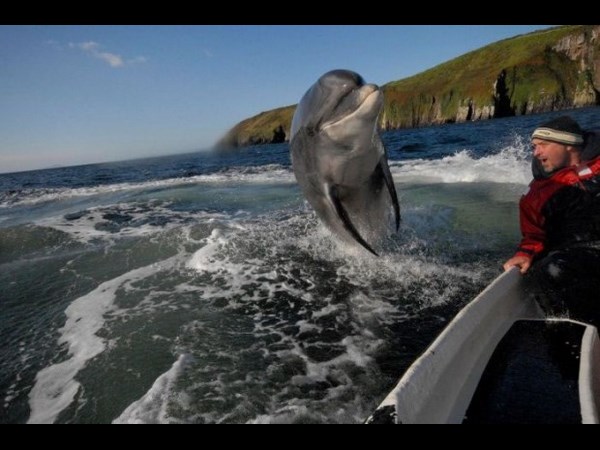 అందమైన చిత్రం 