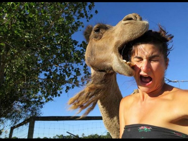 అందమైన చిత్రం 