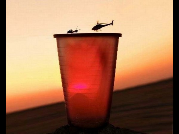 అందమైన చిత్రం 