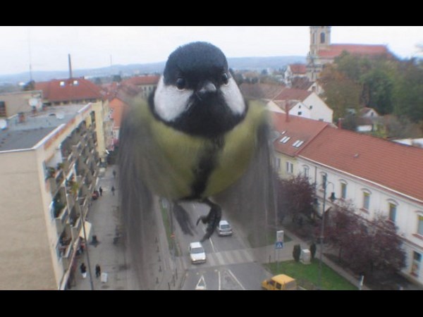 అందమైన చిత్రం 