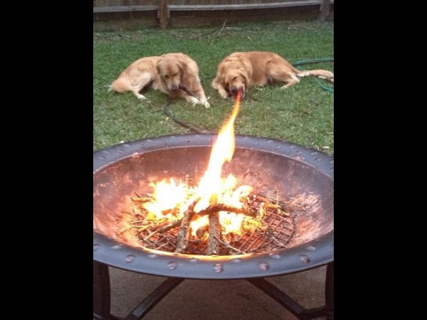 అందమైన చిత్రం 