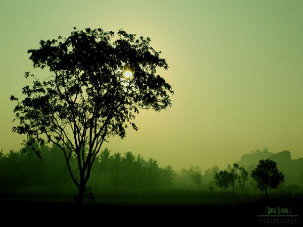 నగర జీవనం ఎక్కడైనా ఇంతే...! 