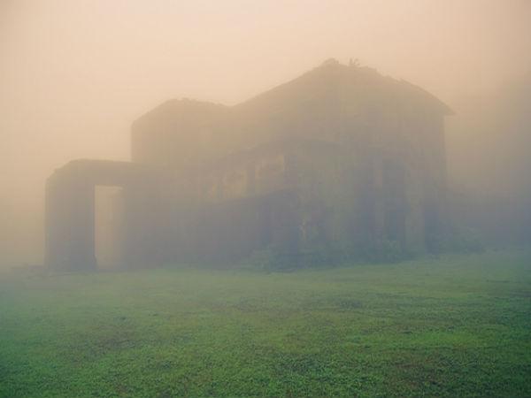 పొగ మంచు కురిసే వేళ