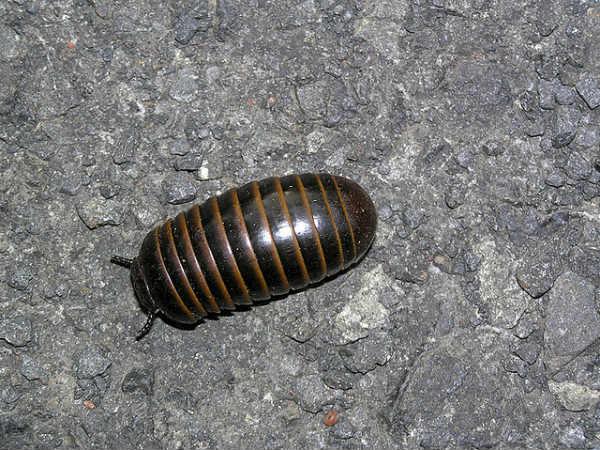 కొండలపై విహారం 