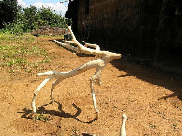 చెట్టు కొమ్మ ఒక జింక ఆకారంలో 