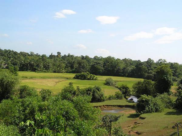 కెమెరా రెడీ ...