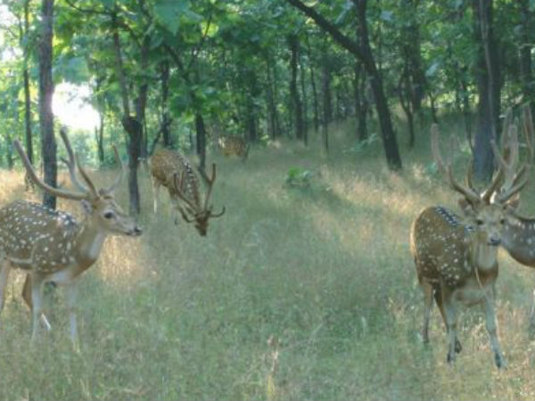 ప్రకృతి పర్యటన 
