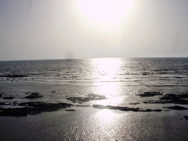 ఆలి బాగ్ 