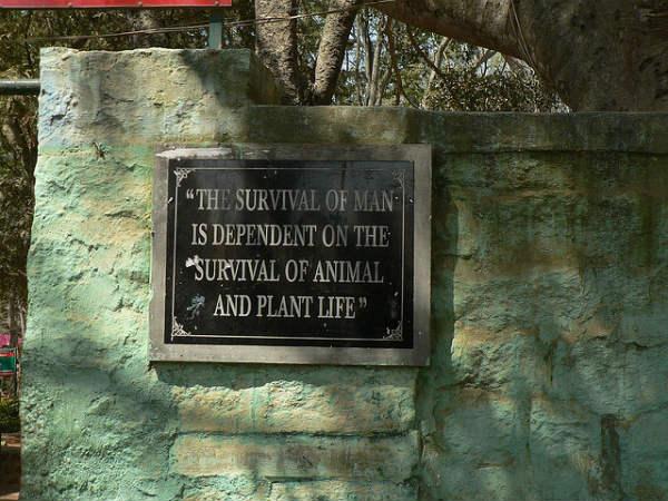 విశాలమైన నేషనల్ పార్క్ 