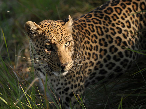 బిన్సార్ వైల్డ్ లైఫ్ సాన్క్చురి 