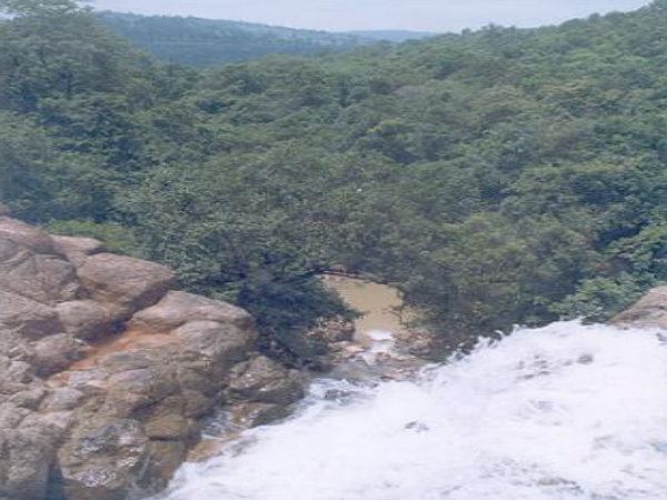 సుర్ గూజా సుర్ గూజా 