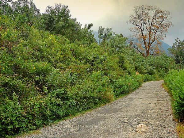 పోనముడి