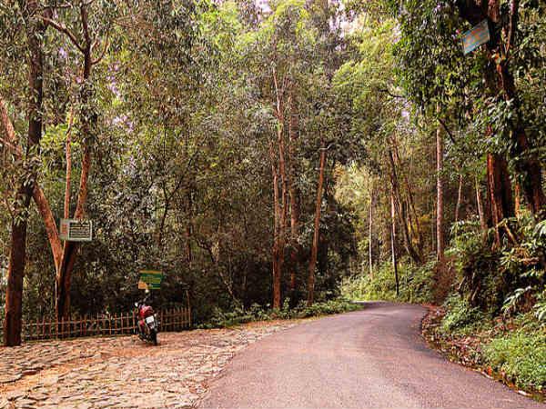 పోనముడి 