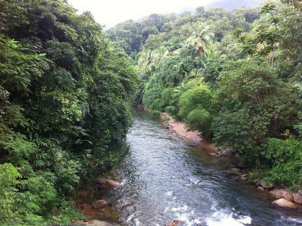 పోనముడి 