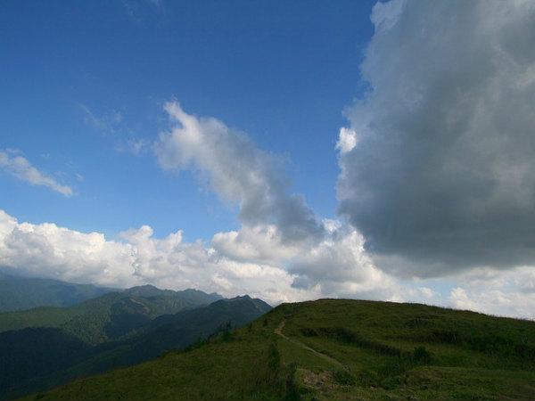 పోనముడి 