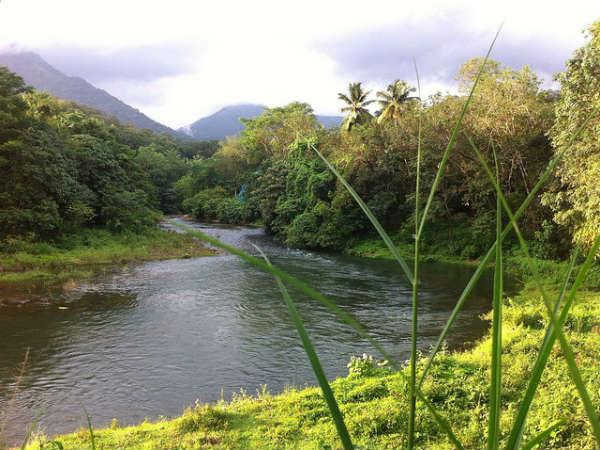 పోనముడి 