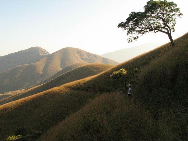 కుద్రేముఖ్ -పచ్చటి ప్రదేశాల కను విందు !