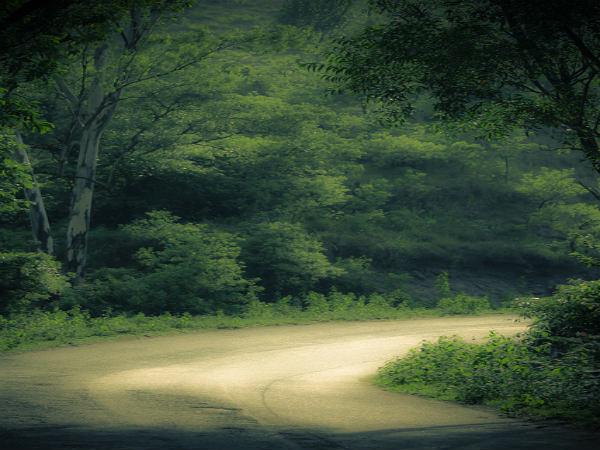 కుద్రేముఖ్...పచ్చటి ప్రదేశాల కను విందు !