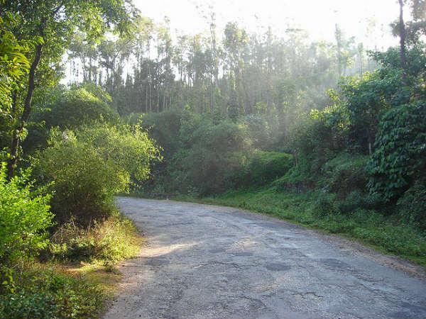 కుద్రేముఖ్...పచ్చటి ప్రదేశాల కను విందు !