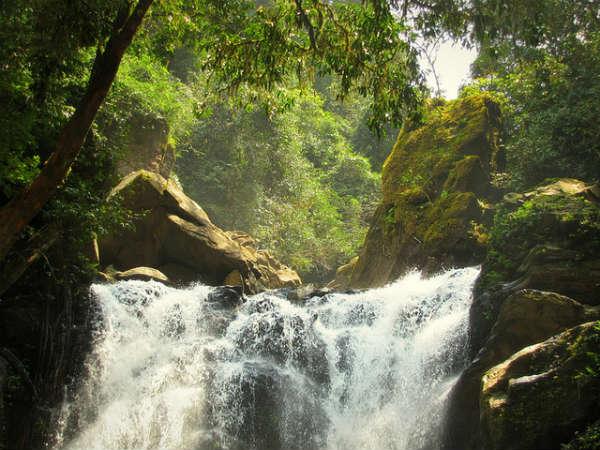 కుద్రేముఖ్ ...పచ్చటి ప్రదేశాల కను విందు !