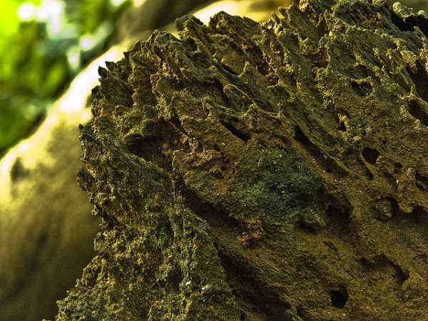 కుద్రేముఖ్ ...పచ్చటి ప్రదేశాల కను విందు !