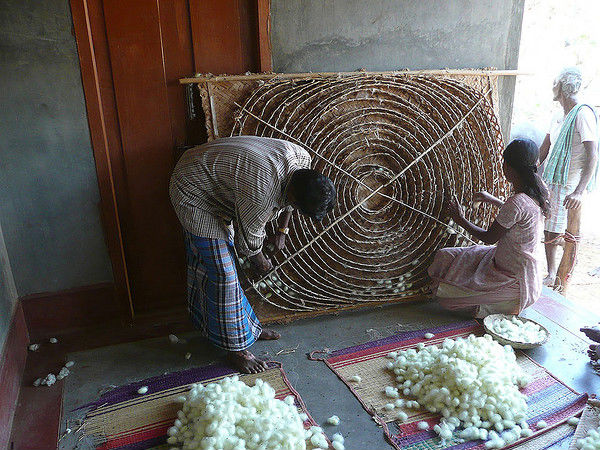 పట్టు పురుగుల పరిశ్రమ