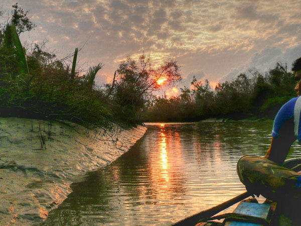 పశ్చిమ బెంగాల్ - సుందర్బన్ నేషనల్ పార్క్