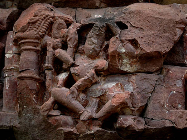 ఆచనక్మార్ వైల్డ్ లైఫ్ సాన్క్చురి, బిలాస్ పూర్