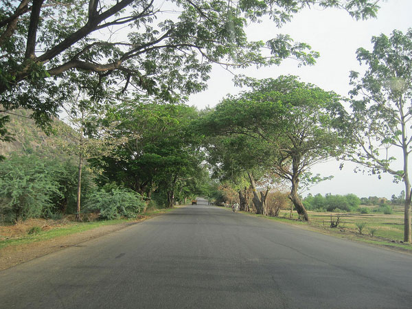 వరంగల్ ఎలా చేరాలి ?