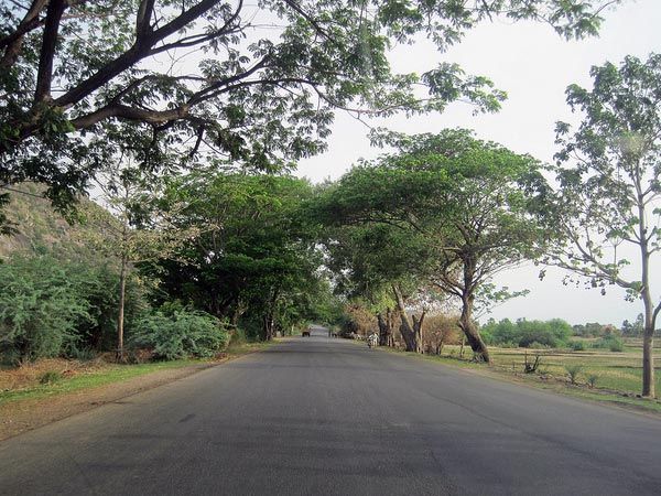 నెల్లూరు ఎలా చేరాలి ? 