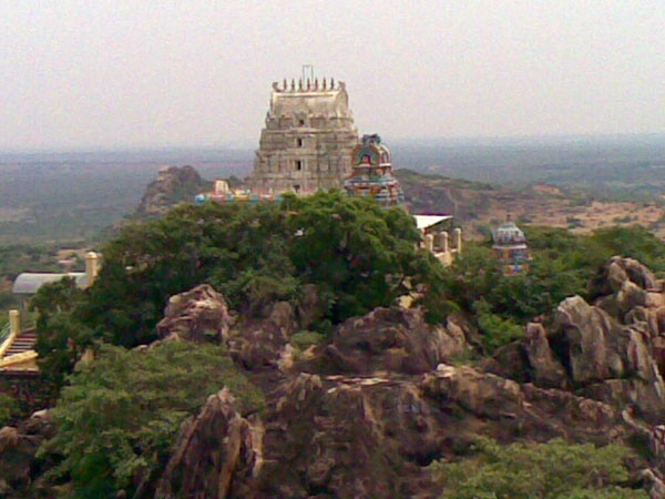 నరసింహస్వామి దేవాలయం 