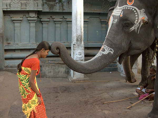 కామాక్షి అమ్మవారి గుడి 