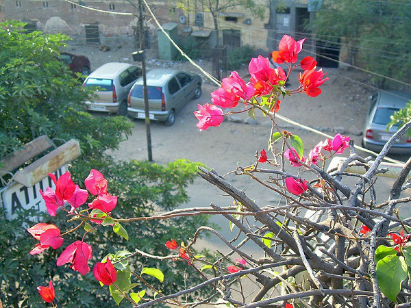 వాతావరణం 