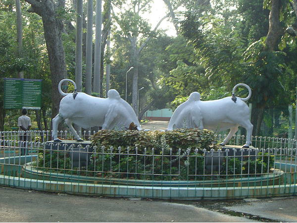 బొటానికల్‌ గార్డెన్‌ 