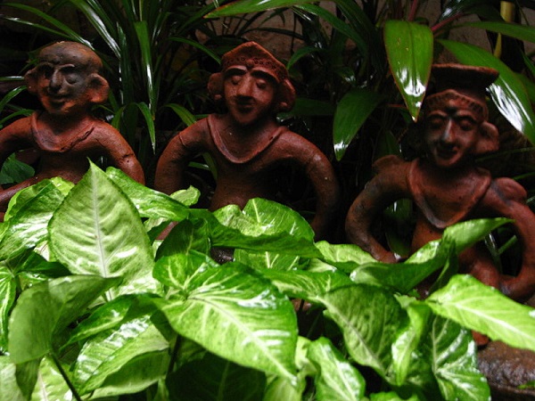 షాపింగ్ అనుభవాలు