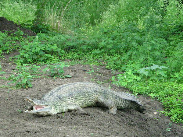 మధ్యప్రదేశ్‌లోని ప్రధాన ఆకర్షణలు...సంక్షిప్తంగా!!