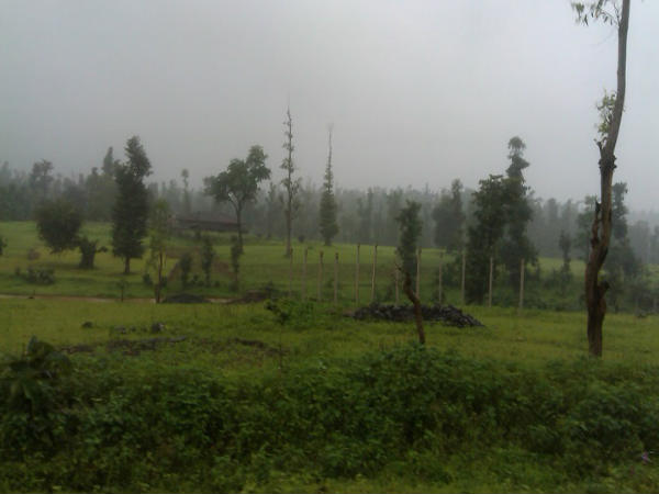 పూర్ణ వన్యప్రాణుల అభయారణ్యం