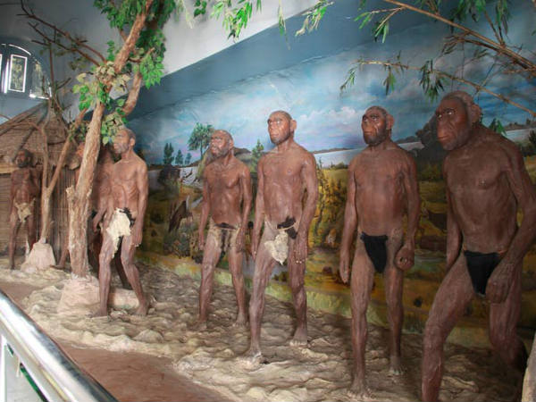 సపుతర ట్రైబల్ మ్యూజియం